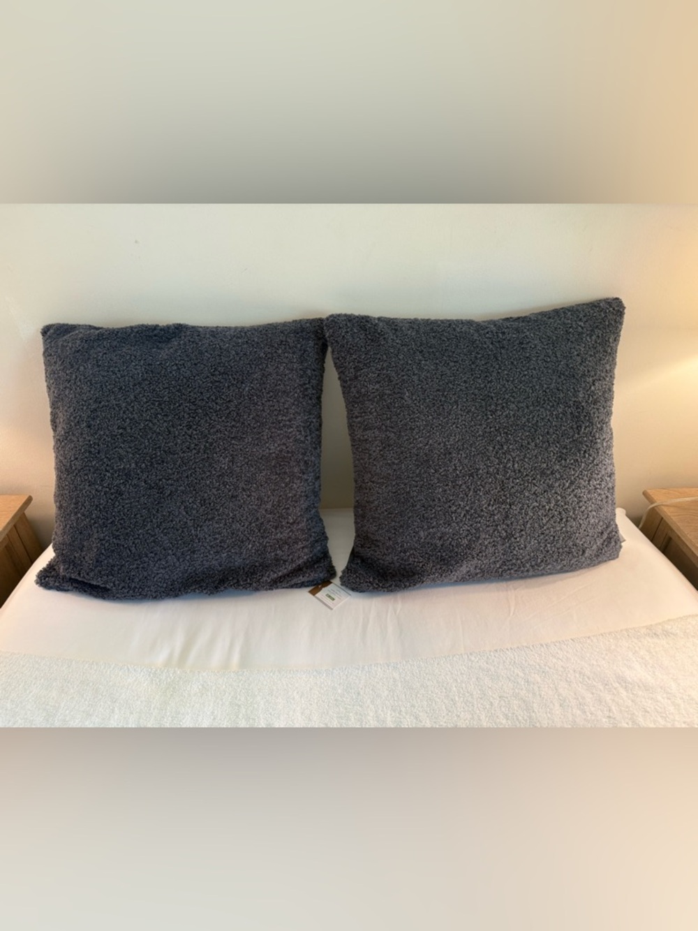 Pottery Barn Teddy Faux Fur Pillow covers